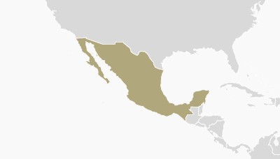 HYTORC Mexico