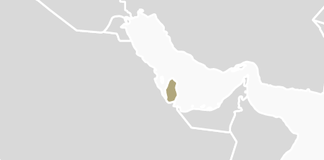 HYTORC Qatar